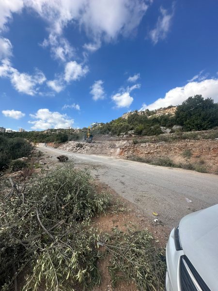 Vistalya fotoğraf 51