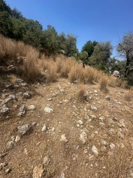 Vistalya fotoğraf 66