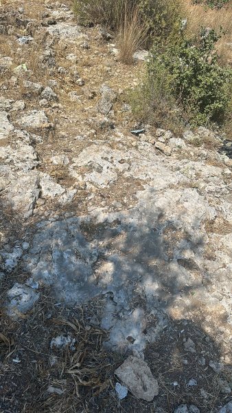 Vistalya fotoğraf 64
