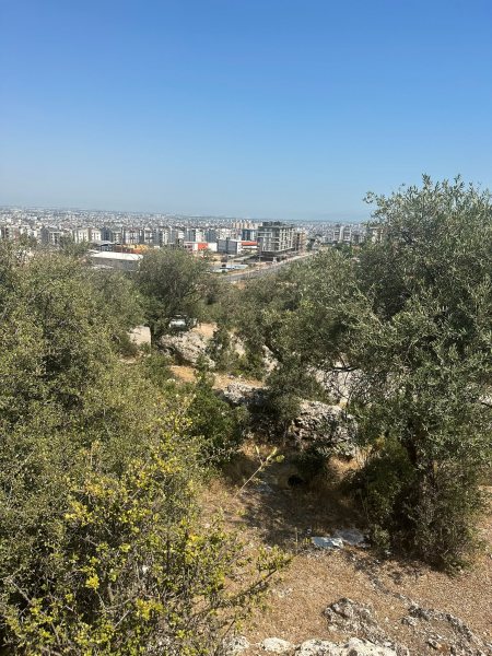 Vistalya fotoğraf 65