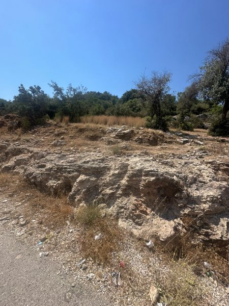 Vistalya fotoğraf 68