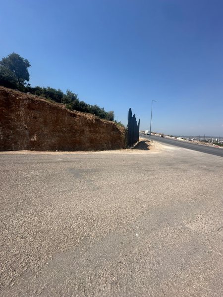 Vistalya fotoğraf 61