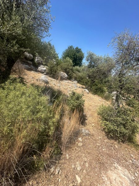 Vistalya fotoğraf 67