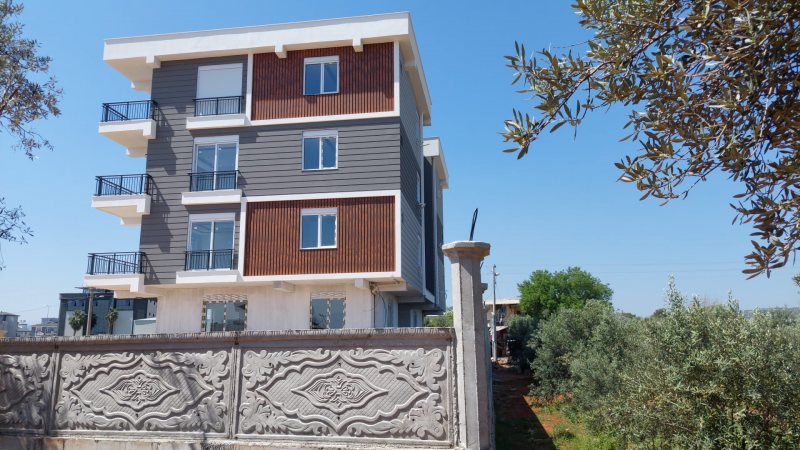 Temel Tepe 1 fotoğraf 10