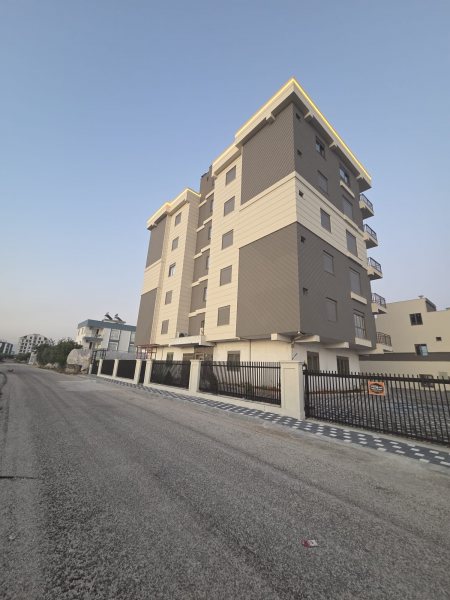Temel Tepe 2 fotoğraf 4